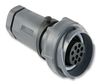 PXP7011/02S/ST/1113 - Circular Connector, Circular Power Connector, Buccaneer 7000 Series, Cable Mount Receptacle