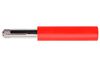 SCHUTZINGER A 2116 NI / RT