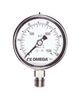 OMEGA PGM-100L-6000PSI/400BAR