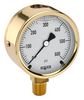NOSHOK 25-300-30/60-PSI