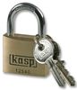 KASP SECURITY K12540A1