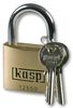 KASP SECURITY K12550A1