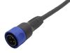BULGIN LIMITED PXP4000/002/02P