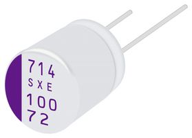 PANASONIC 100SXE27MX