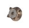 HUBER+SUHNER 82"MMBX-S50-0-13/111"NE