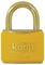 KASP SECURITY K12440YELD