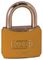 KASP SECURITY K12440YELD