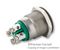 BULGIN LIMITED MPI002/TERM/GN